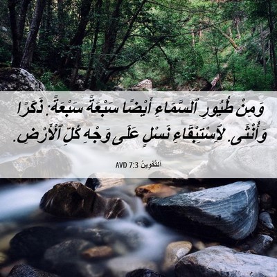 Picture 06 - اَلتَّكْوِينُ 7:3 AVD - وَمِنْ طُيُورِ ٱلسَّمَاءِ - Bible Verse Picture