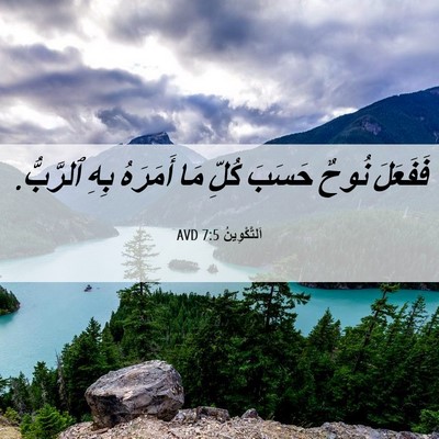 Picture 06 - اَلتَّكْوِينُ 7:5 AVD - فَفَعَلَ نُوحٌ حَسَبَ - Bible Verse Picture