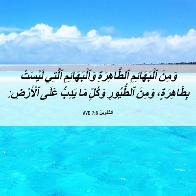 Picture 06 - اَلتَّكْوِينُ 7:8 AVD - وَمِنَ ٱلْبَهَائِمِ - Bible Verse Picture