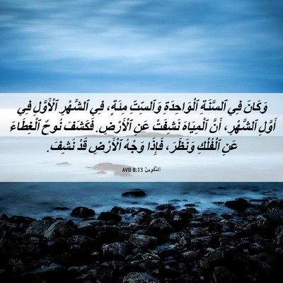 Picture 06 - اَلتَّكْوِينُ 8:13 AVD - وَكَانَ فِي ٱلسَّنَةِ - Bible Verse Picture