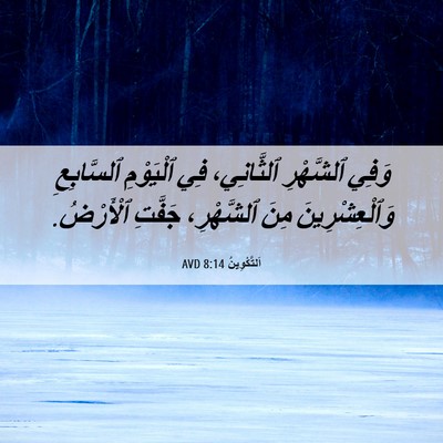 Picture 06 - اَلتَّكْوِينُ 8:14 AVD - وَفِي ٱلشَّهْرِ - Bible Verse Picture