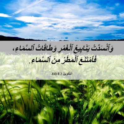 Picture 06 - اَلتَّكْوِينُ 8:2 AVD - وَٱنْسَدَّتْ يَنَابِيعُ - Bible Verse Picture