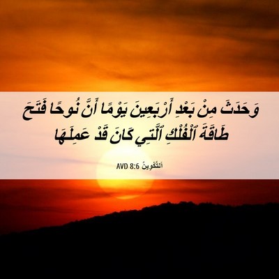 Picture 06 - اَلتَّكْوِينُ 8:6 AVD - وَحَدَثَ مِنْ بَعْدِ - Bible Verse Picture