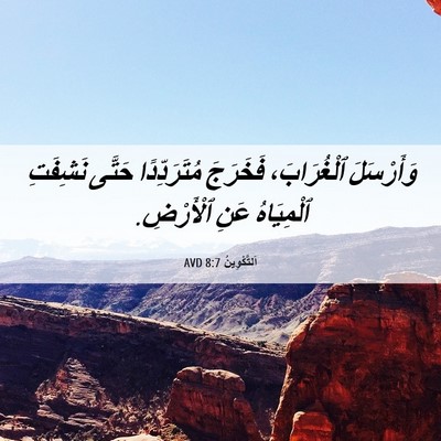 Picture 06 - اَلتَّكْوِينُ 8:7 AVD - وَأَرْسَلَ ٱلْغُرَابَ، - Bible Verse Picture
