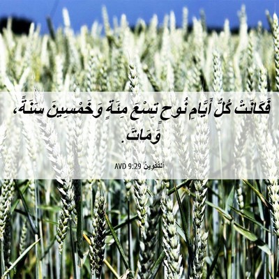 Picture 06 - اَلتَّكْوِينُ 9:29 AVD - فَكَانَتْ كُلُّ أَيَّامِ - Bible Verse Picture