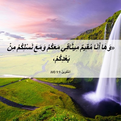 Picture 06 - اَلتَّكْوِينُ 9:9 AVD - «وَهَا أَنَا مُقِيمٌ - Bible Verse Picture