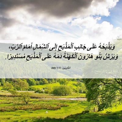 Picture 06 - اَللَّاوِيِّينَ 1:11 AVD - وَيَذْبَحُهُ عَلَى - Bible Verse Picture