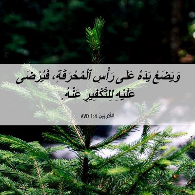 Picture 06 - اَللَّاوِيِّينَ 1:4 AVD - وَيَضَعُ يَدَهُ عَلَى - Bible Verse Picture