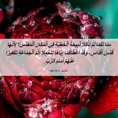 Picture 06 - اَللَّاوِيِّينَ 10:17 AVD - «مَا لَكُمَا لَمْ - Bible Verse Picture