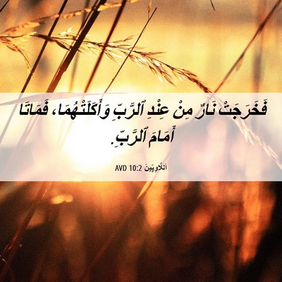 Picture 06 - اَللَّاوِيِّينَ 10:2 AVD - فَخَرَجَتْ نَارٌ مِنْ - Bible Verse Picture
