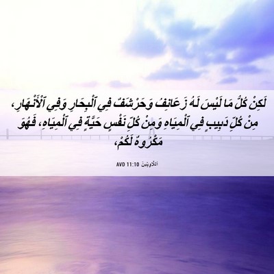 Picture 06 - اَللَّاوِيِّينَ 11:10 AVD - لَكِنْ كُلُّ مَا لَيْسَ - Bible Verse Picture