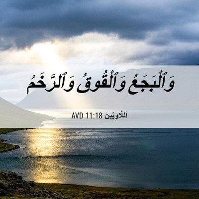 Picture 06 - اَللَّاوِيِّينَ 11:18 AVD - وَٱلْبَجَعُ وَٱلْقُوقُ - Bible Verse Picture