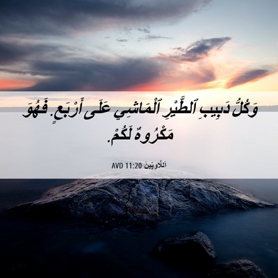 Picture 06 - اَللَّاوِيِّينَ 11:20 AVD - وَكُلُّ دَبِيبِ ٱلطَّيْرِ - Bible Verse Picture