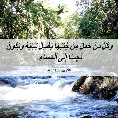 Picture 06 - اَللَّاوِيِّينَ 11:25 AVD - وَكُلُّ مَنْ حَمَلَ مِنْ - Bible Verse Picture