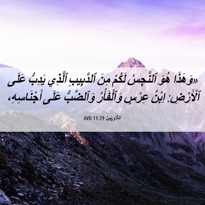 Picture 06 - اَللَّاوِيِّينَ 11:29 AVD - «وَهَذَا هُوَ ٱلنَّجِسُ - Bible Verse Picture