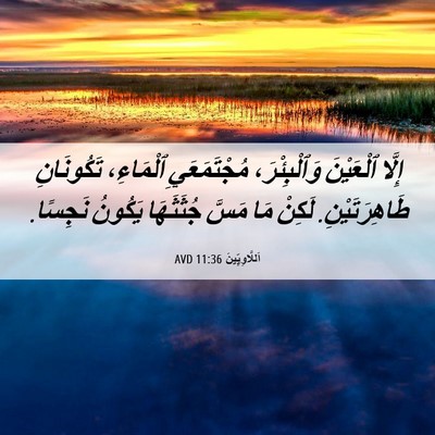 Picture 06 - اَللَّاوِيِّينَ 11:36 AVD - إِلَّا ٱلْعَيْنَ - Bible Verse Picture