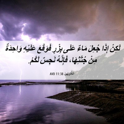 Picture 06 - اَللَّاوِيِّينَ 11:38 AVD - لَكِنْ إِذَا جُعِلَ مَاءٌ - Bible Verse Picture