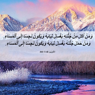Picture 06 - اَللَّاوِيِّينَ 11:40 AVD - وَمَنْ أَكَلَ مِنْ - Bible Verse Picture