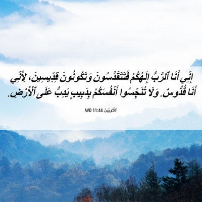 Picture 06 - اَللَّاوِيِّينَ 11:44 AVD - إِنِّي أَنَا ٱلرَّبُّ - Bible Verse Picture