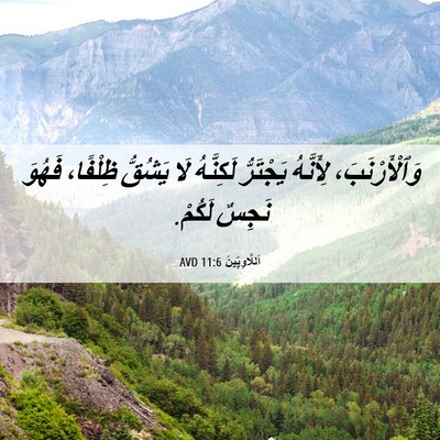 Picture 06 - اَللَّاوِيِّينَ 11:6 AVD - وَٱلْأَرْنَبَ، لِأَنَّهُ - Bible Verse Picture
