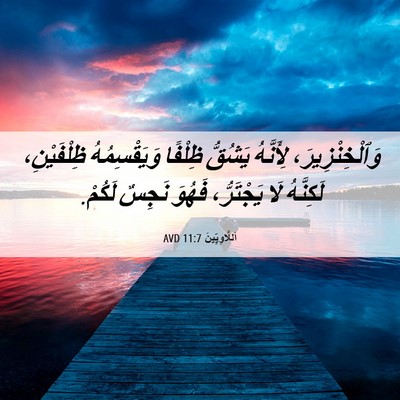 Picture 06 - اَللَّاوِيِّينَ 11:7 AVD - وَٱلْخِنْزِيرَ، لِأَنَّهُ - Bible Verse Picture