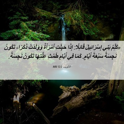 Picture 06 - اَللَّاوِيِّينَ 12:2 AVD - «كَلِّمْ بَنِي - Bible Verse Picture