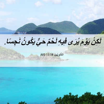 Picture 06 - اَللَّاوِيِّينَ 13:14 AVD - لَكِنْ يَوْمَ يُرَى فِيهِ - Bible Verse Picture