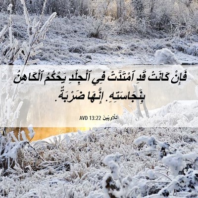 Picture 06 - اَللَّاوِيِّينَ 13:22 AVD - فَإِنْ كَانَتْ قَدِ - Bible Verse Picture