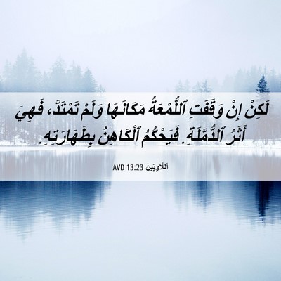 Picture 06 - اَللَّاوِيِّينَ 13:23 AVD - لَكِنْ إِنْ وَقَفَتِ - Bible Verse Picture