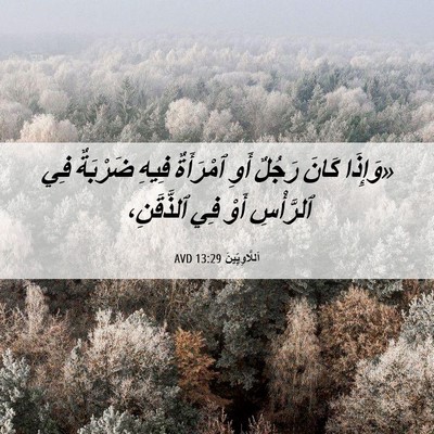 Picture 06 - اَللَّاوِيِّينَ 13:29 AVD - «وَإِذَا كَانَ رَجُلٌ أَوِ - Bible Verse Picture