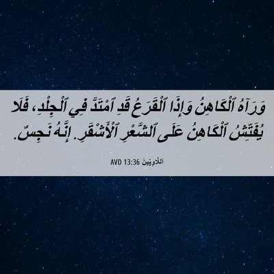 Picture 06 - اَللَّاوِيِّينَ 13:36 AVD - وَرَآهُ ٱلْكَاهِنُ - Bible Verse Picture