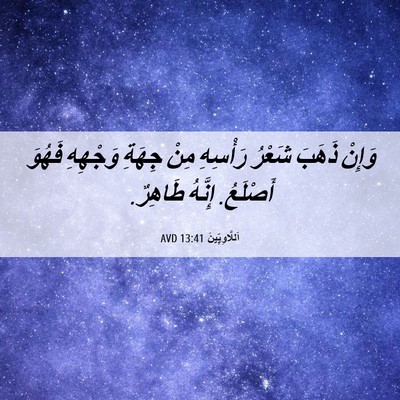 Picture 06 - اَللَّاوِيِّينَ 13:41 AVD - وَإِنْ ذَهَبَ شَعْرُ - Bible Verse Picture