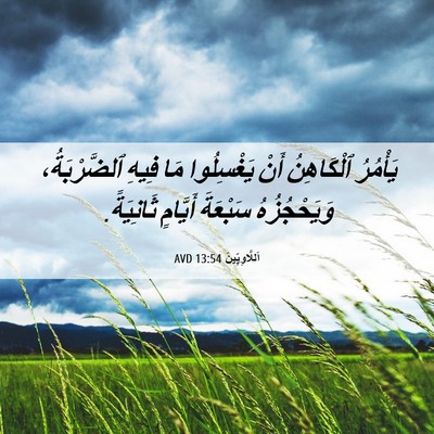 Picture 06 - اَللَّاوِيِّينَ 13:54 AVD - يَأْمُرُ ٱلْكَاهِنُ أَنْ - Bible Verse Picture