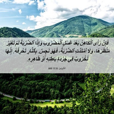 Picture 06 - اَللَّاوِيِّينَ 13:55 AVD - فَإِنْ رَأَى ٱلْكَاهِنُ - Bible Verse Picture