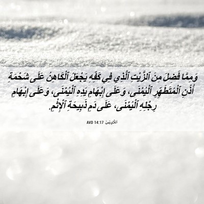 Picture 06 - اَللَّاوِيِّينَ 14:17 AVD - وَمِمَّا فَضِلَ مِنَ - Bible Verse Picture