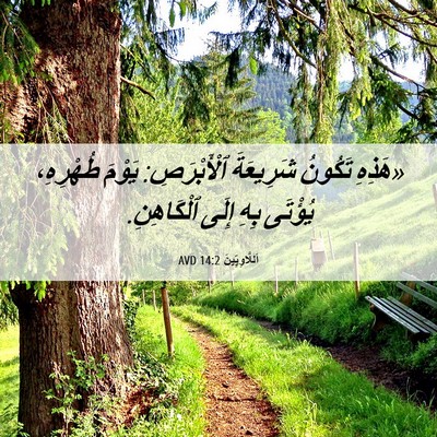 Picture 06 - اَللَّاوِيِّينَ 14:2 AVD - «هَذِهِ تَكُونُ شَرِيعَةَ - Bible Verse Picture