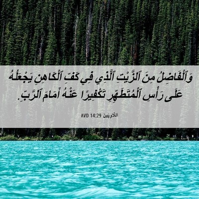 Picture 06 - اَللَّاوِيِّينَ 14:29 AVD - وَٱلْفَاضِلُ مِنَ - Bible Verse Picture
