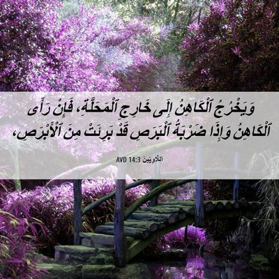 Picture 06 - اَللَّاوِيِّينَ 14:3 AVD - وَيَخْرُجُ ٱلْكَاهِنُ - Bible Verse Picture