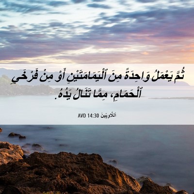 Picture 06 - اَللَّاوِيِّينَ 14:30 AVD - ثُمَّ يَعْمَلُ وَاحِدَةً - Bible Verse Picture