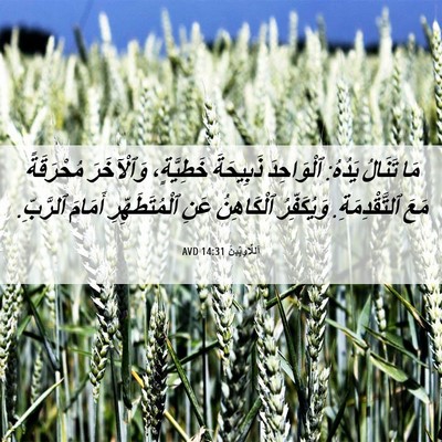 Picture 06 - اَللَّاوِيِّينَ 14:31 AVD - مَا تَنَالُ يَدُهُ: - Bible Verse Picture