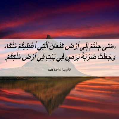 Picture 06 - اَللَّاوِيِّينَ 14:34 AVD - «مَتَى جِئْتُمْ إِلَى - Bible Verse Picture