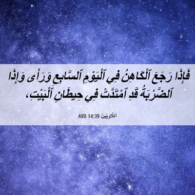 Picture 06 - اَللَّاوِيِّينَ 14:39 AVD - فَإِذَا رَجَعَ ٱلْكَاهِنُ - Bible Verse Picture