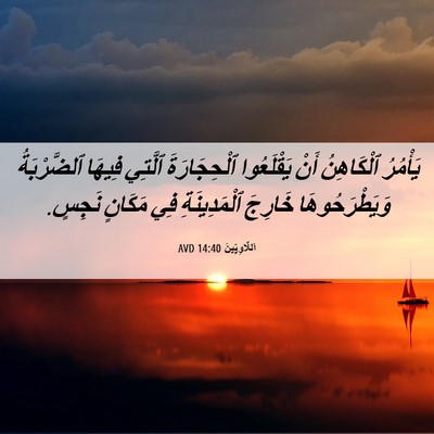 Picture 06 - اَللَّاوِيِّينَ 14:40 AVD - يَأْمُرُ ٱلْكَاهِنُ أَنْ - Bible Verse Picture