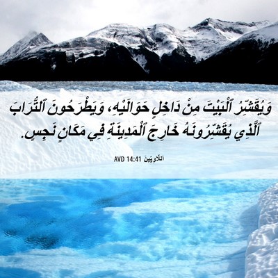 Picture 06 - اَللَّاوِيِّينَ 14:41 AVD - وَيُقَشِّرُ ٱلْبَيْتَ - Bible Verse Picture