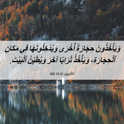 Picture 06 - اَللَّاوِيِّينَ 14:42 AVD - وَيَأْخُذُونَ حِجَارَةً - Bible Verse Picture