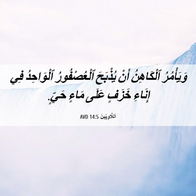 Picture 06 - اَللَّاوِيِّينَ 14:5 AVD - وَيَأْمُرُ ٱلْكَاهِنُ - Bible Verse Picture