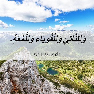 Picture 06 - اَللَّاوِيِّينَ 14:56 AVD - وَلِلنَّاتِئِ - Bible Verse Picture