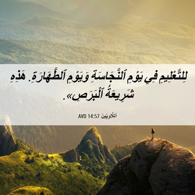 Picture 06 - اَللَّاوِيِّينَ 14:57 AVD - لِلتَّعْلِيمِ فِي يَوْمِ - Bible Verse Picture