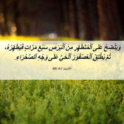 Picture 06 - اَللَّاوِيِّينَ 14:7 AVD - وَيَنْضِحُ عَلَى - Bible Verse Picture