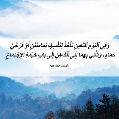 Picture 06 - اَللَّاوِيِّينَ 15:29 AVD - وَفِي ٱلْيَوْمِ - Bible Verse Picture